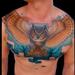Tattoos - Chest tattoo of an owl - 86379